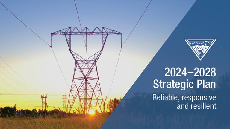 icons with text description of strategic plan goals below them