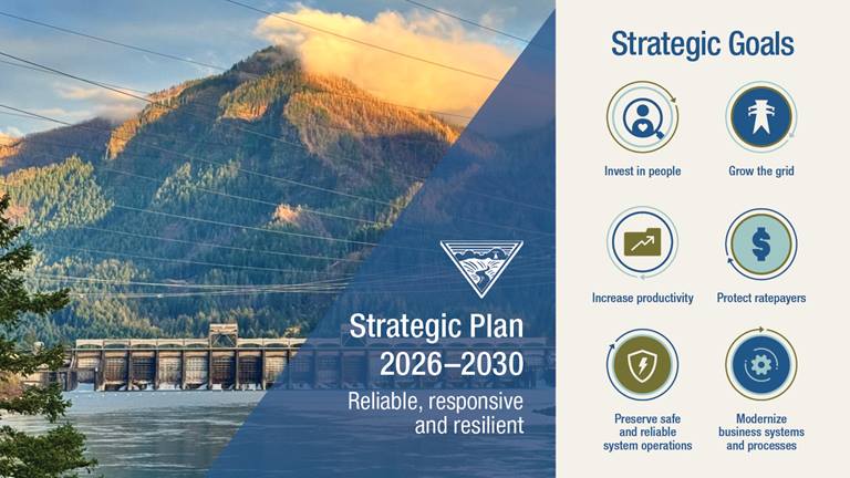 icons with text description of strategic plan goals below them