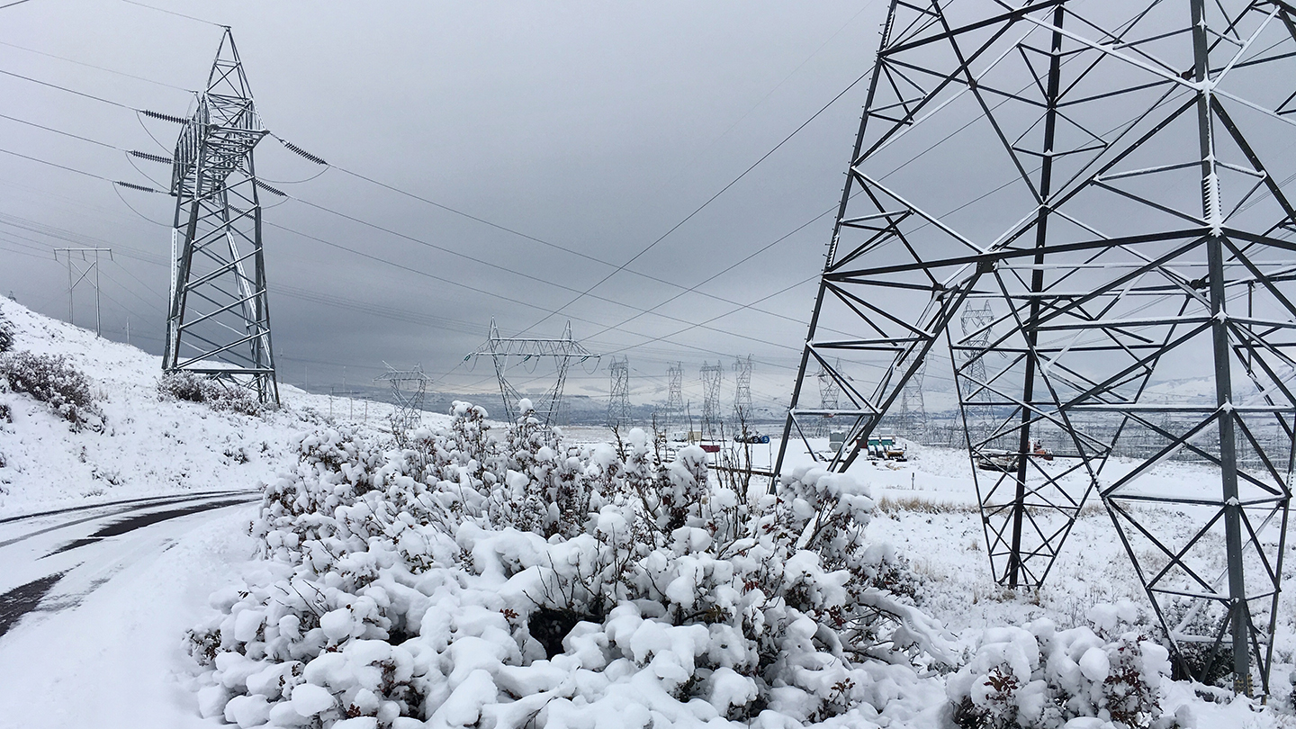 snowy bush in foreground with snow-covered landscape of road and transmission lines zig zagging across image