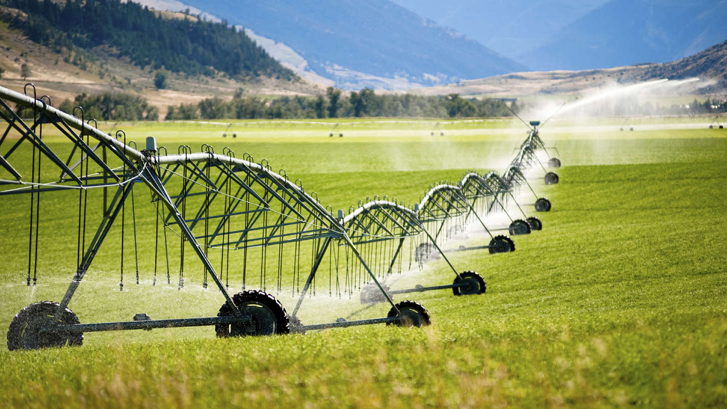 irrigation image