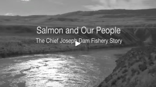 cover shot of Salmon and our People video