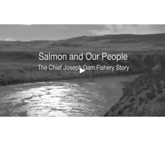 cover shot of Salmon and our People video