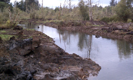 narrow waterway with dirt, rocks and trees linining it