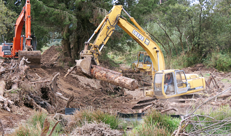 Multiple excavators work atop and adjacent the old levee at Otter Point in Lewis and Clark National Historic Park on Sept. 20, 2012, to place tree debris and roots in the 33.5 acres of wetland that will be reconnected to the Columbia River estuary with the levee's breaching
