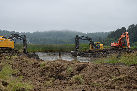 Backhoes work to connect one of five tidal inlets to Youngs Bay near Astoria, Oregon 