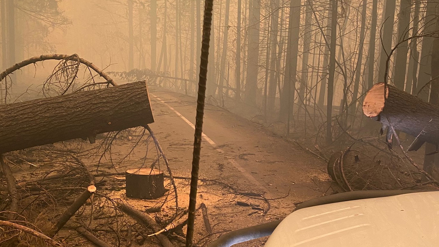 Line crews rapidly deployed to areas where transmission and fiber customers experienced service interruptions as wildfires swept across parts of BPA’s service territory.