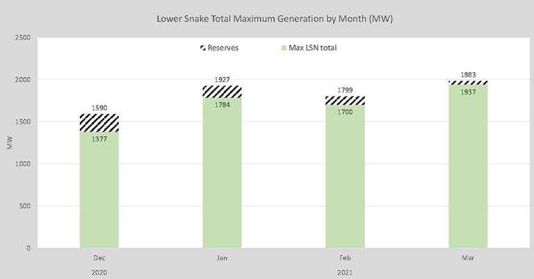 Total net generation chart 2021