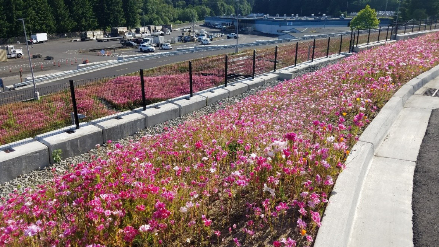 Pollinators find refuge in BPA landscapes