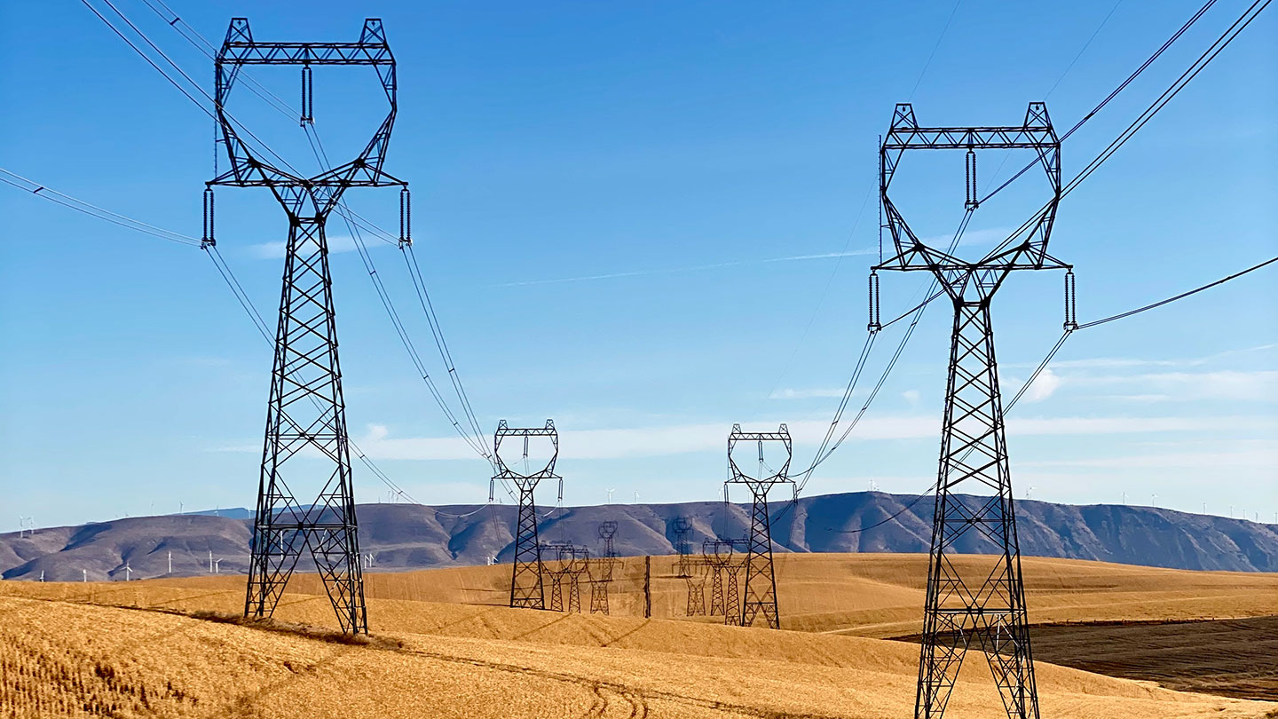 Meet the team that is creating BPA’s Western Energy Imbalance Market settlements capability and preparing the agency to meet future business demands.