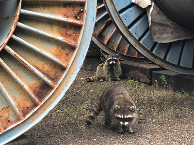 20220317-workforce-photo-contest-highlights-bpas-vital-ties-to-northwest-for-third-year-9