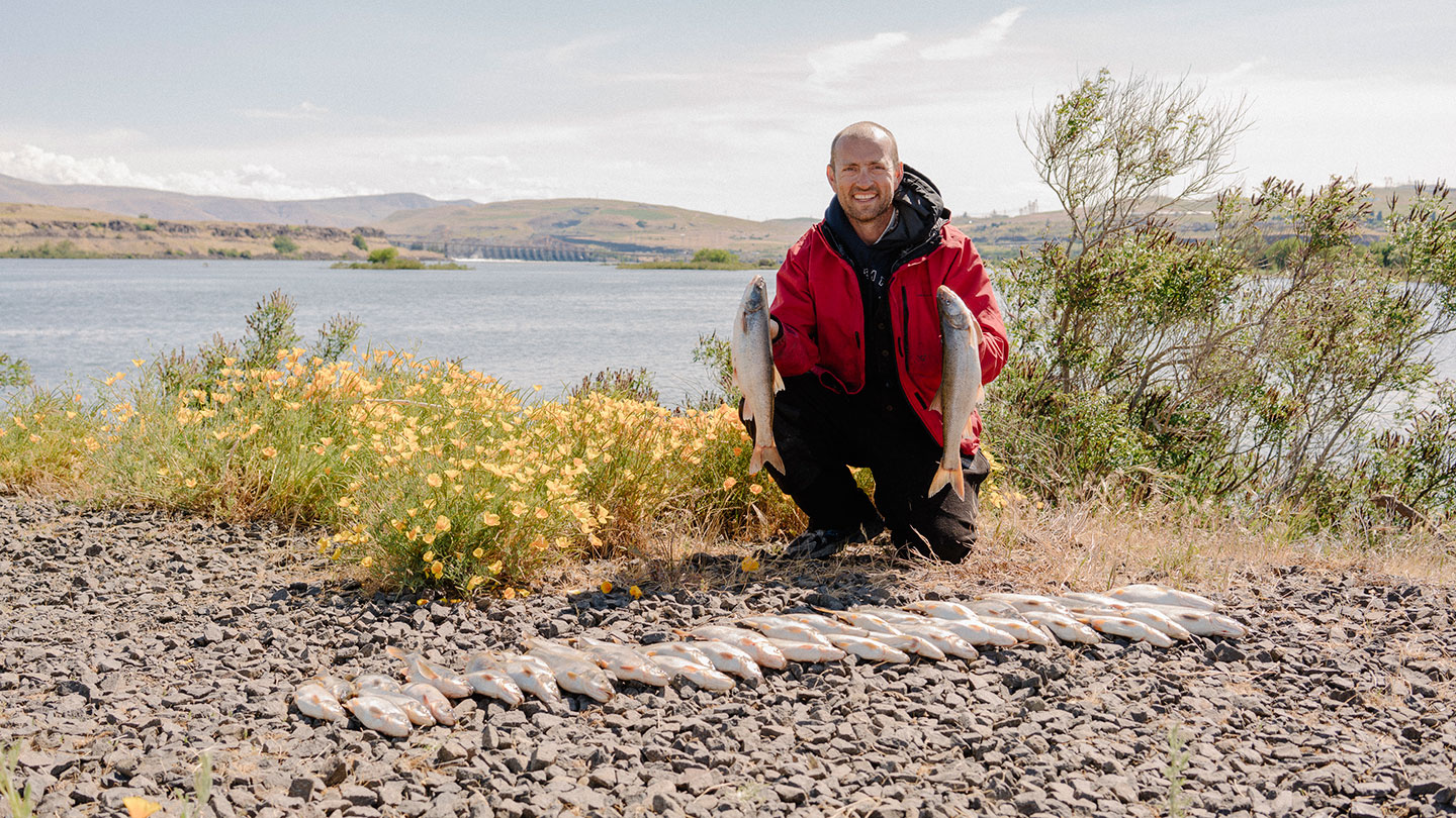 Enjoy fishing? Bigger rewards and more convenient registration could make it extra tempting to participate in the Northern Pikeminnow Sport Reward Fishery.
