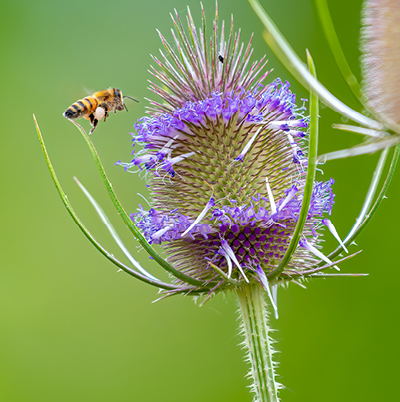 20230208-photo-contest-captures-bpas-role-in-the-northwest-for-fourth-year