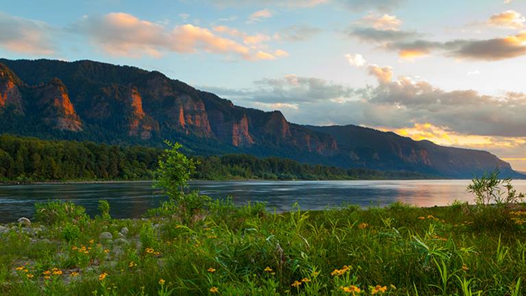 columbia-river-gorge-sunset-wildflowers-rocky-cliffs-800x450