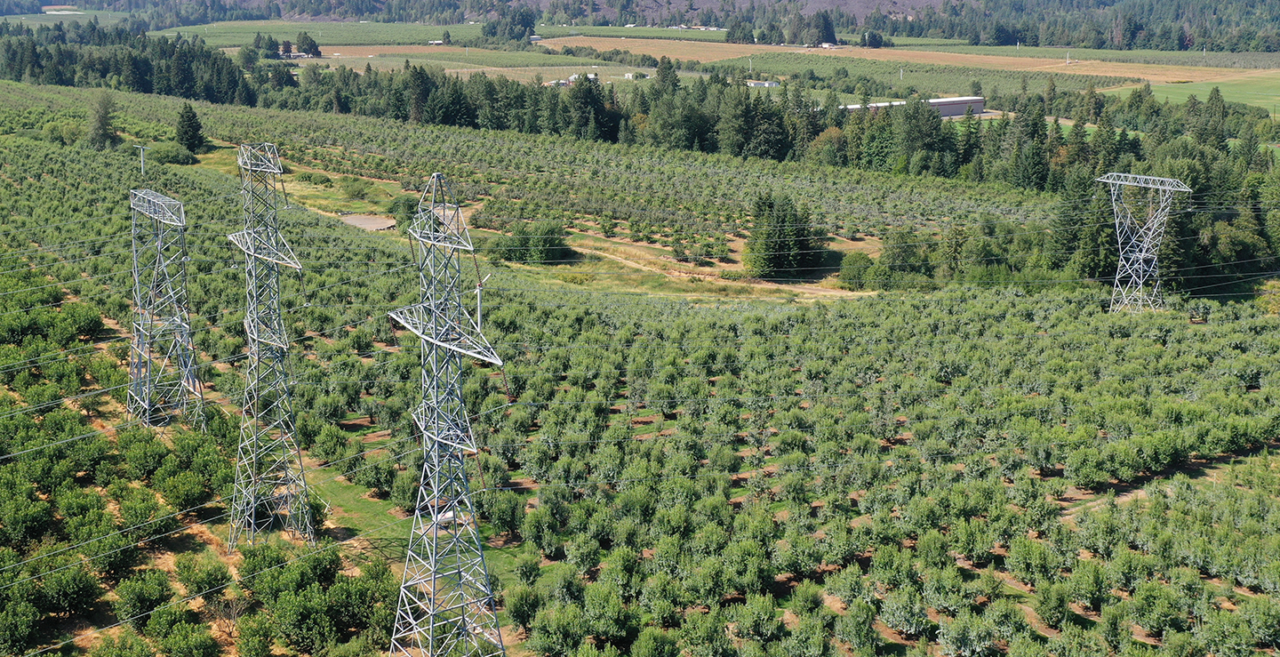 Mt. Hood transmission towers agriculture field