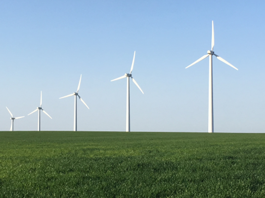 Image of windmills in a field