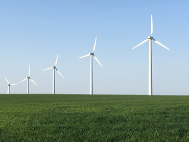 Image of windmills in a field