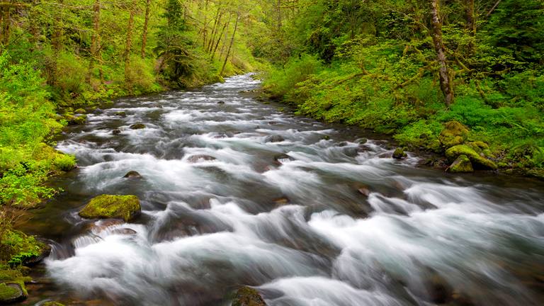 Columbia River Creek